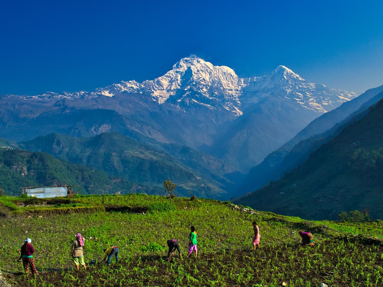 Mountains  Hills 3